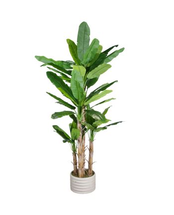 Copac artificial -Bananier 250cm