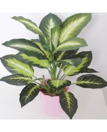 Planta artificiala Dieffenbachia 40cm