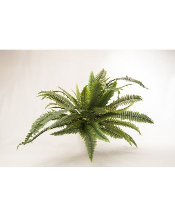 Plante artificiale decorative Nephrolepis