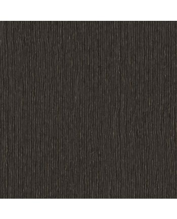 PANOU AVEENA FT 25803