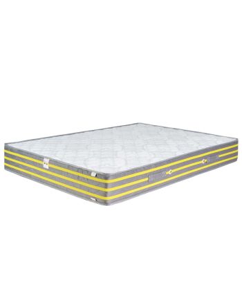 SALTEA PREMIER PLUS