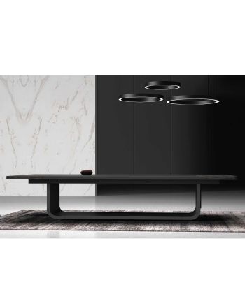 MASA CONFERINTA V-36