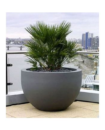 Planta Artificiala Palmier exterior 140cm