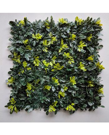 Perete plante artificiale Aglaia odorata 50x50