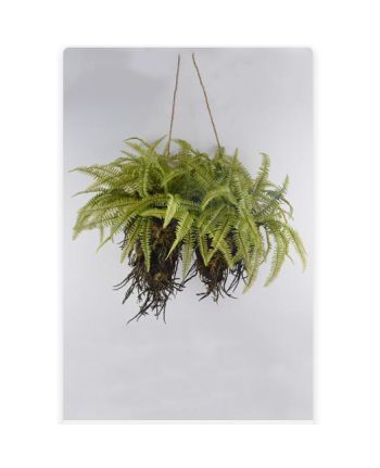 Plante artificiale suspendate AN-1400