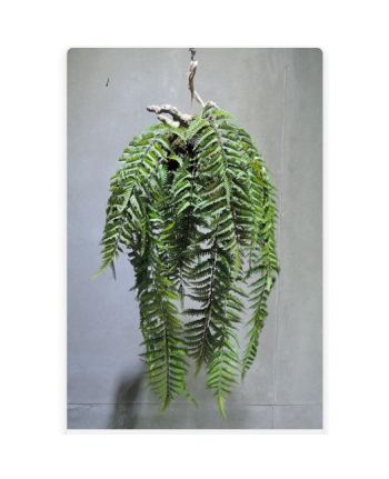 Plante artificiale suspendate AN-1559
