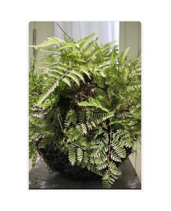 Plante artificiale suspendate AN-761
