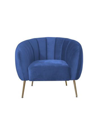 FOTOLIU FILIPO TY-24 ALBASTRU CATIFELAT - PICIOR AURIU