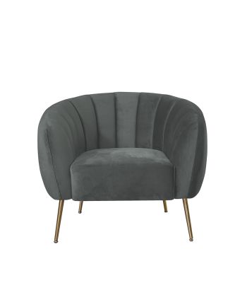 FOTOLIU FILIPO CC250-26 GRI CATIFELAT - PICIOR AURIU