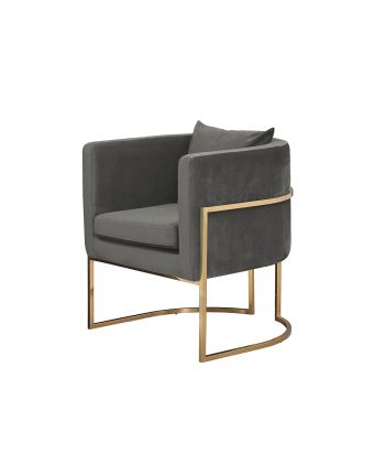 FOTOLIU ORION CC250-26 GRI CATIFELAT - PICIOR AURIU