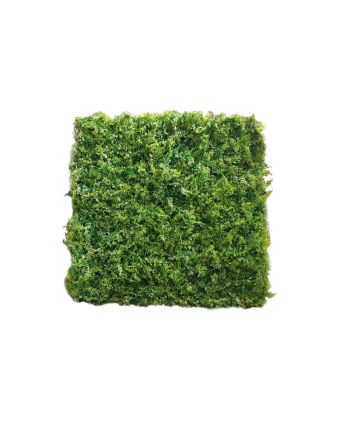 PERETE ARTIFICIAL PLANTE 1