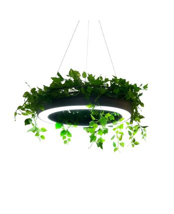 CORP DE ILUMINAT PE FIR ISOLA NEGRU