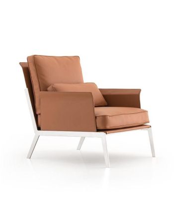 FOTOLIU LOUIS MARO - PICIOR CROMAT