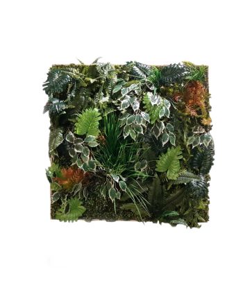 PERETE ARTIFICIAL PLANTE 2