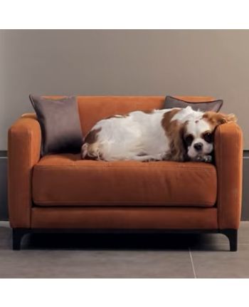 MINI FOTOLIU DOST 72 CM