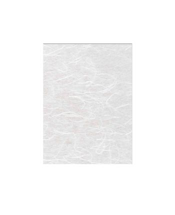 PLACA MATASE TRANSLUCIDA SAKURA C39