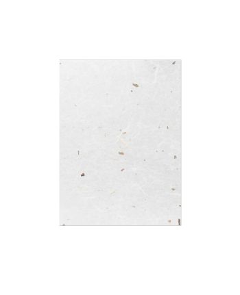 PLACA MATASE TRANSLUCIDA SAKURA C40-1