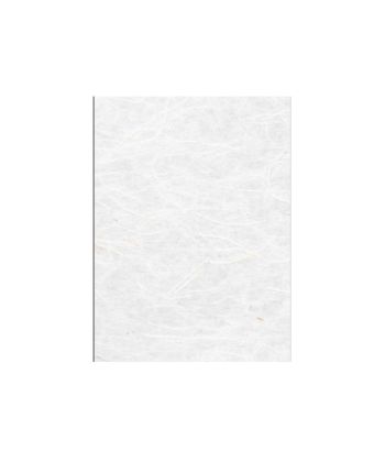 PLACA MATASE TRANSLUCIDA SAKURA F007