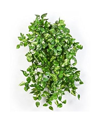 PLANTA ARTIFICIALA POTHOS 180CM