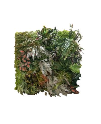 PERETE ARTIFICIAL PLANTE 3