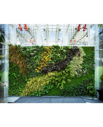 PERETI VERZI ARTIFICIALI / GRADINI VERTICALE PREMIUM  - PE COMANDA